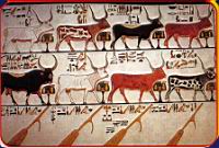 Tombe de Nefertari (05).jpg