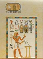 Thoutmosis III, dessin.jpg