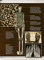 ADN de Toutankhamon, Science & Vie 1111, 2010-04 (10).jpg